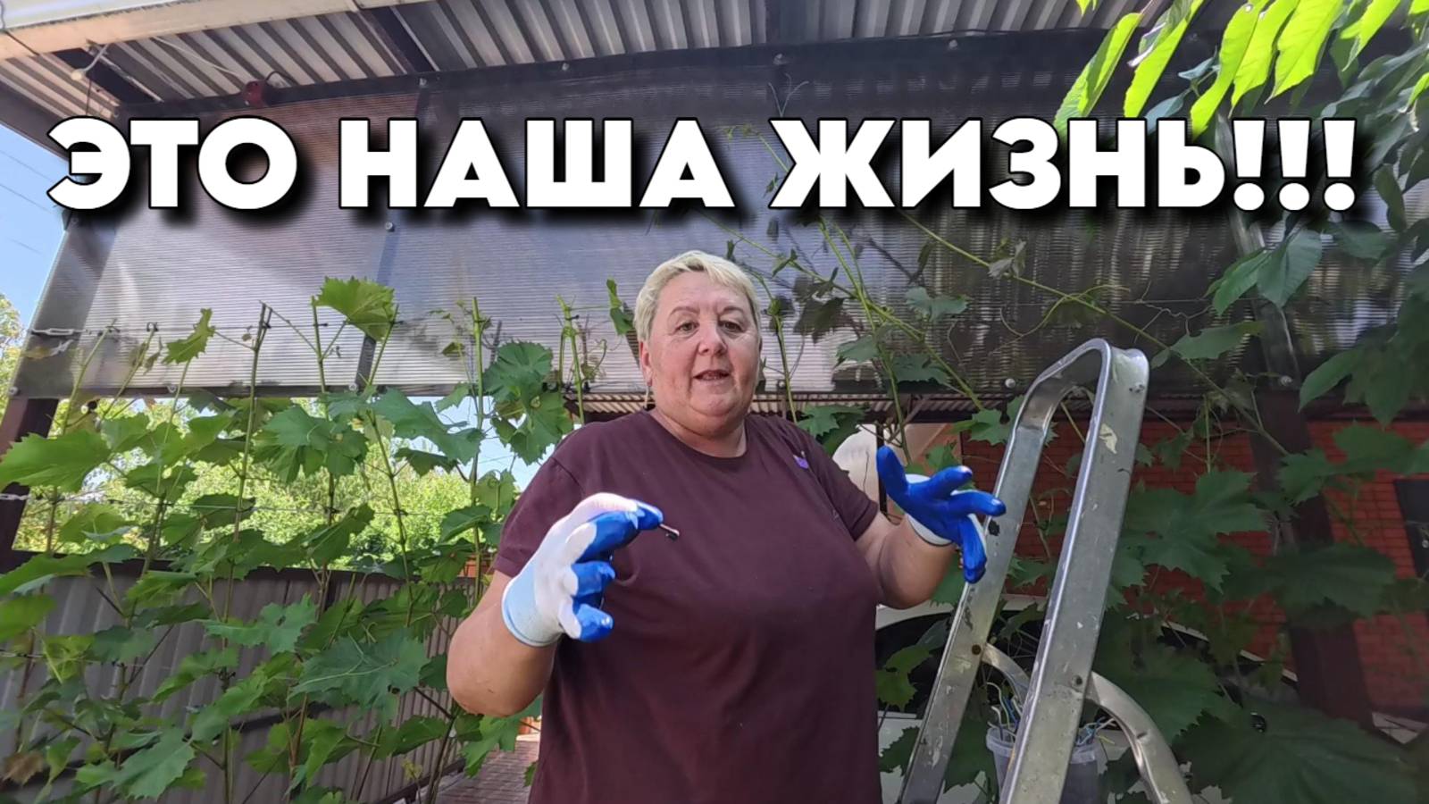 922 Жизнь семьи после переезда/Наш сад на юге/Купили новый дом на Кубани смотреть онлайн
