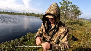 Рыбалка продолжается. Окуни на твистер .Волна.