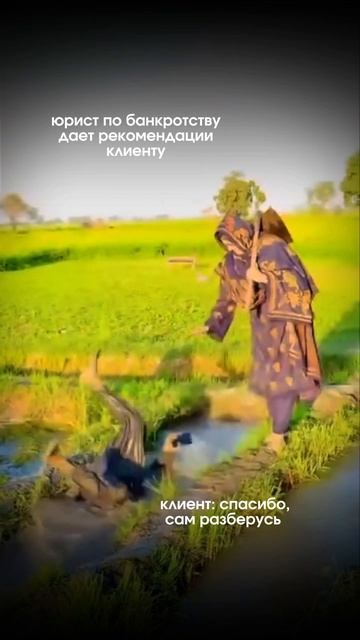 Юрист даёт рекомендации клиенту смотреть онлайн