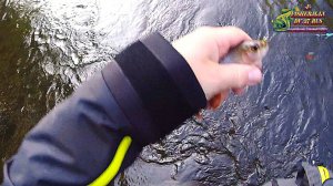 Раскрываю секреты рыбалки на хариуса которые на самом деле работает на речках в Хабаровском крае