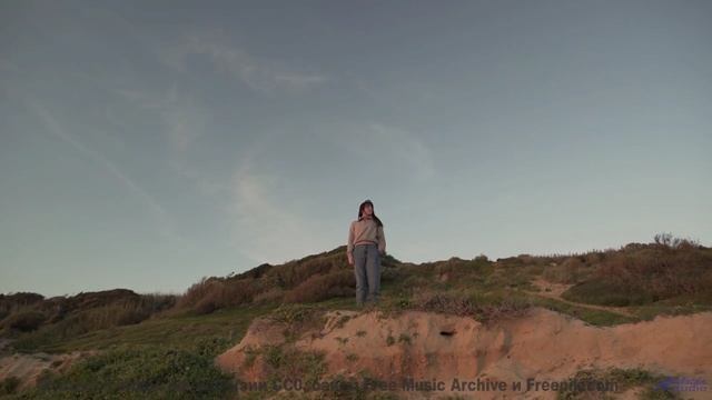 Музыка для киборгов - а вы сможете её воспринять - Lifeforce 9 -- Mr.ruiZ -- Winter Haze, Summer Daz