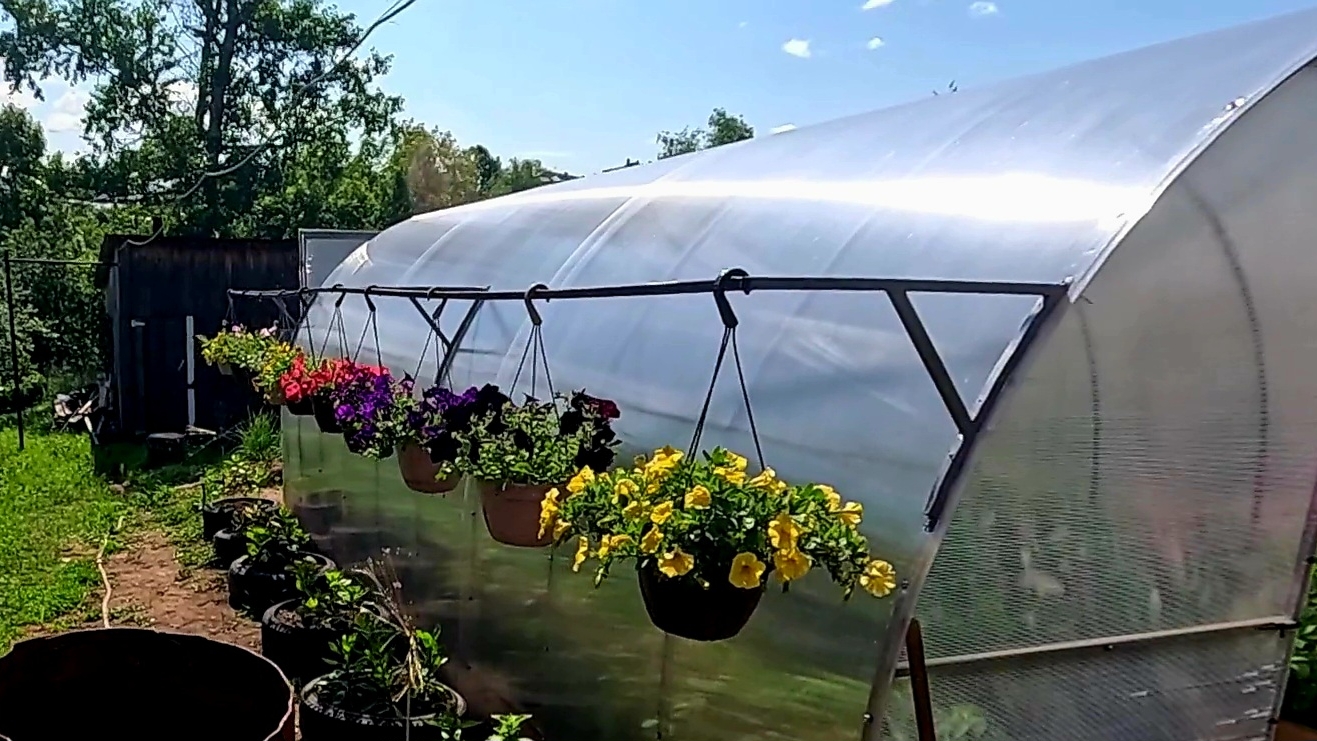 Красота спасёт мир... Бесполезно разговаривать... смотреть онлайн