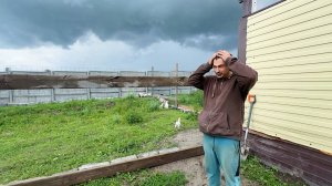 Это шок! Коровы разнесли ферму! Что произошло и что с этим делать? Наводим порядок. Жизнь в деревне.