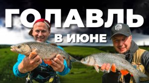 Трофейный ГОЛАВЛЬ быстрых рек - CHUBTRIP в дождь и холод. РЫБАЛКА на спиннинг в июне.