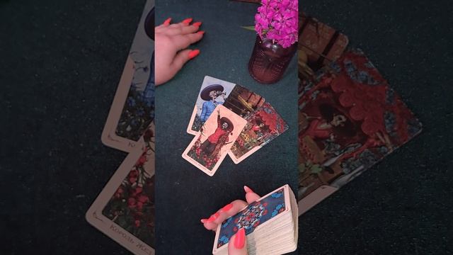 сюрприз ✨ смотреть онлайн