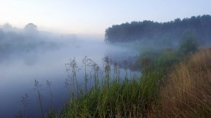 ЗА  СИНИМИ  ТУМАНАМИ. НАТАЛЬЯ БУЧИНСКАЯ.