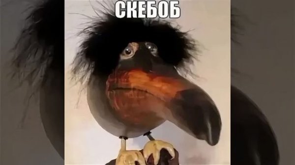 скебобоо