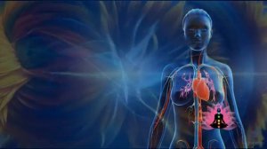 SOFT RADIO: Полный Архив (скачайте на Ваше устройство!) Сайт Гаряев-Матрицы.рф