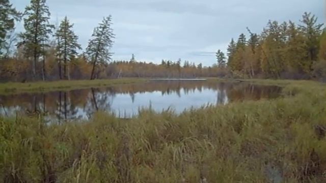 Озеро. Верхнеколымский район. 2007год.