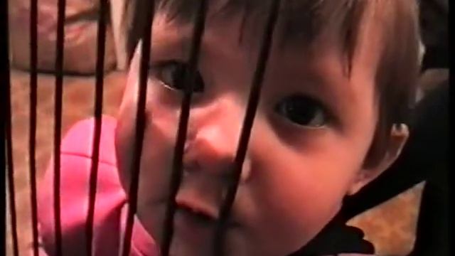 Смотри у меня какой граш!