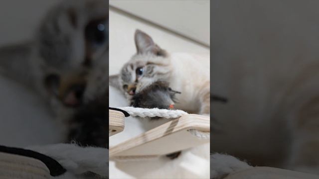 Ни при каких обстоятельствах нельзя отпускать ))