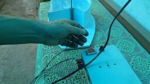 Фонтан для котов самодельный.