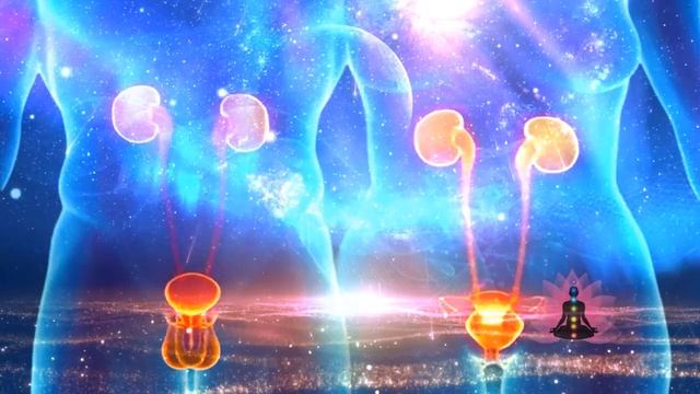 Сайт Гаряев-Матрицы.РФ Архив: Мочеполовая Система: Чистая Матрица Гаряева 2025