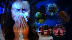 Аллергия Чистая Матрица Гаряева скачать | Где скачать все чистые матрицы гаряева в 2025?