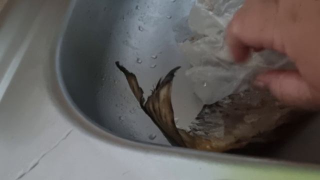 Готовлю быстро из своих запасиков! Вкуснота! смотреть онлайн