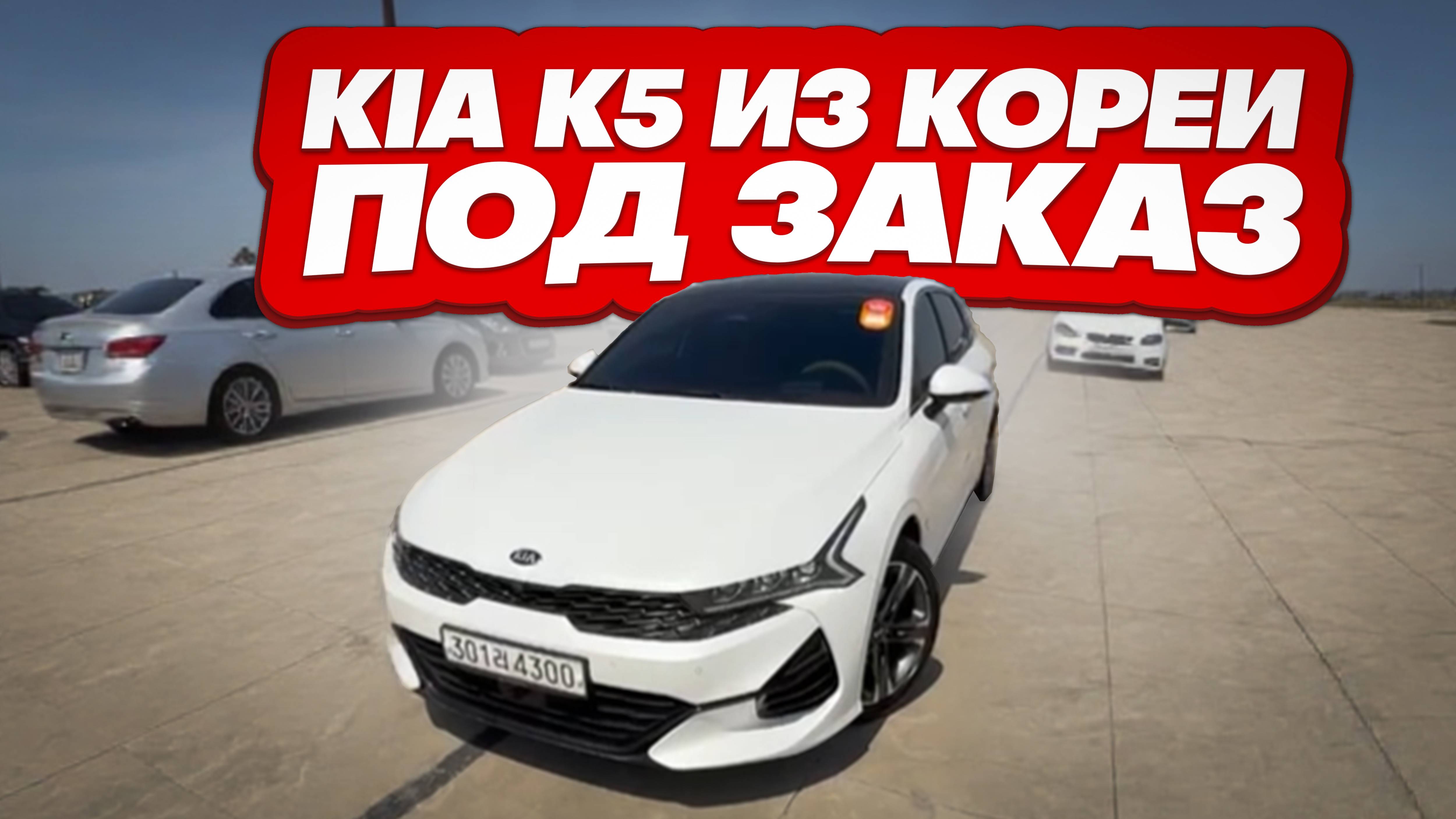 Осмотр Kia K5 перед покупкой в Южной Корее. смотреть онлайн