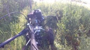 Косилка Заря, косим люцерну 3