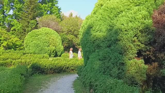 Парк Южные культуры в Сириусе смотреть онлайн