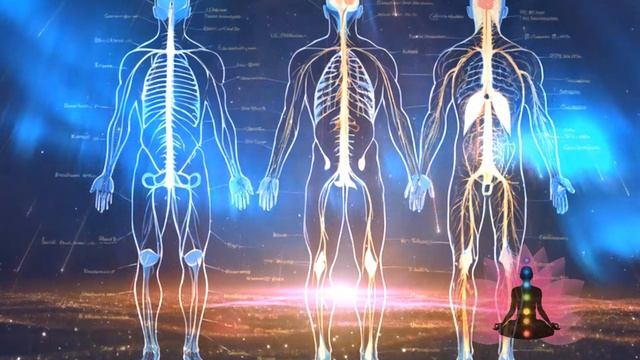 МАТРИЦЫ-ГАРЯЕВА.РФ АРХИВ: Нервная система ⚠️ Оригинальная чистая матрица Гаряева П П ☀️ смотреть онлайн