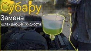 Замена охлаждающей жидкости на Subaru