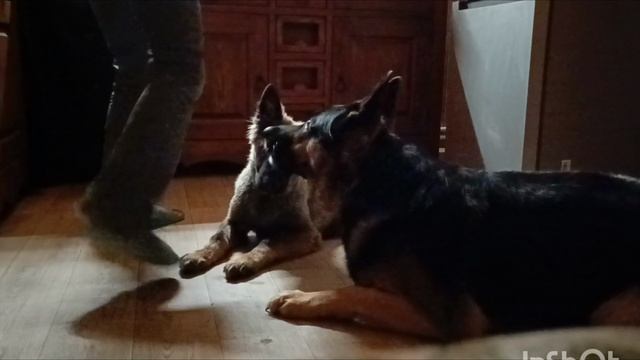 Кайлас и Нира смотреть онлайн