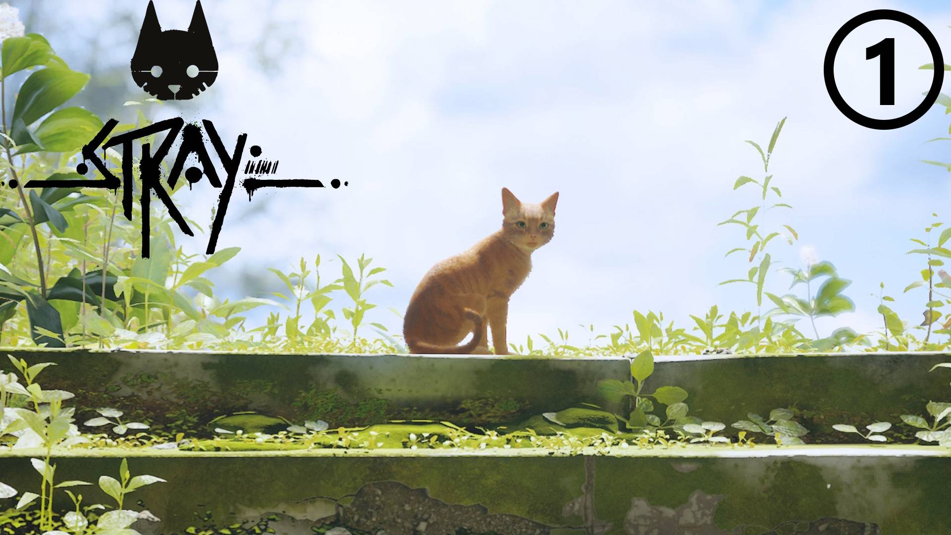 Stray ● Прохождение ● часть 1