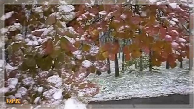 МОЛИТВА смотреть онлайн