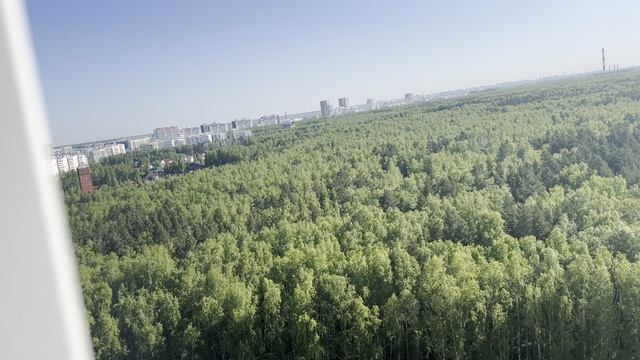 квартира видео с балкона смотреть онлайн