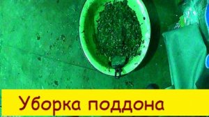 Уборка поддона