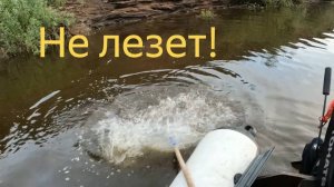 Рыбалка на Вятке за народным памятником вятской навигации. Трофей никак не лезет в сачок.