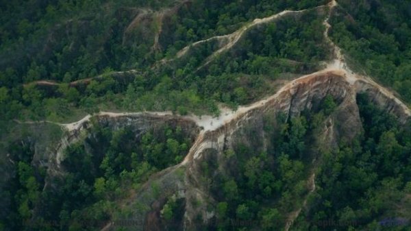 Этот трек звучит лучше всего среди этих полей - Goodbye Good Times -- HoliznaCC0 -- Makeshift Salvat