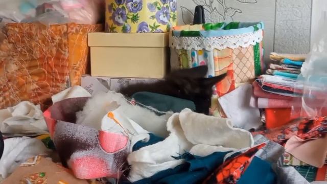Маленький помощник: котенок в мире лоскутного шитья! 🐱✂️ смотреть онлайн