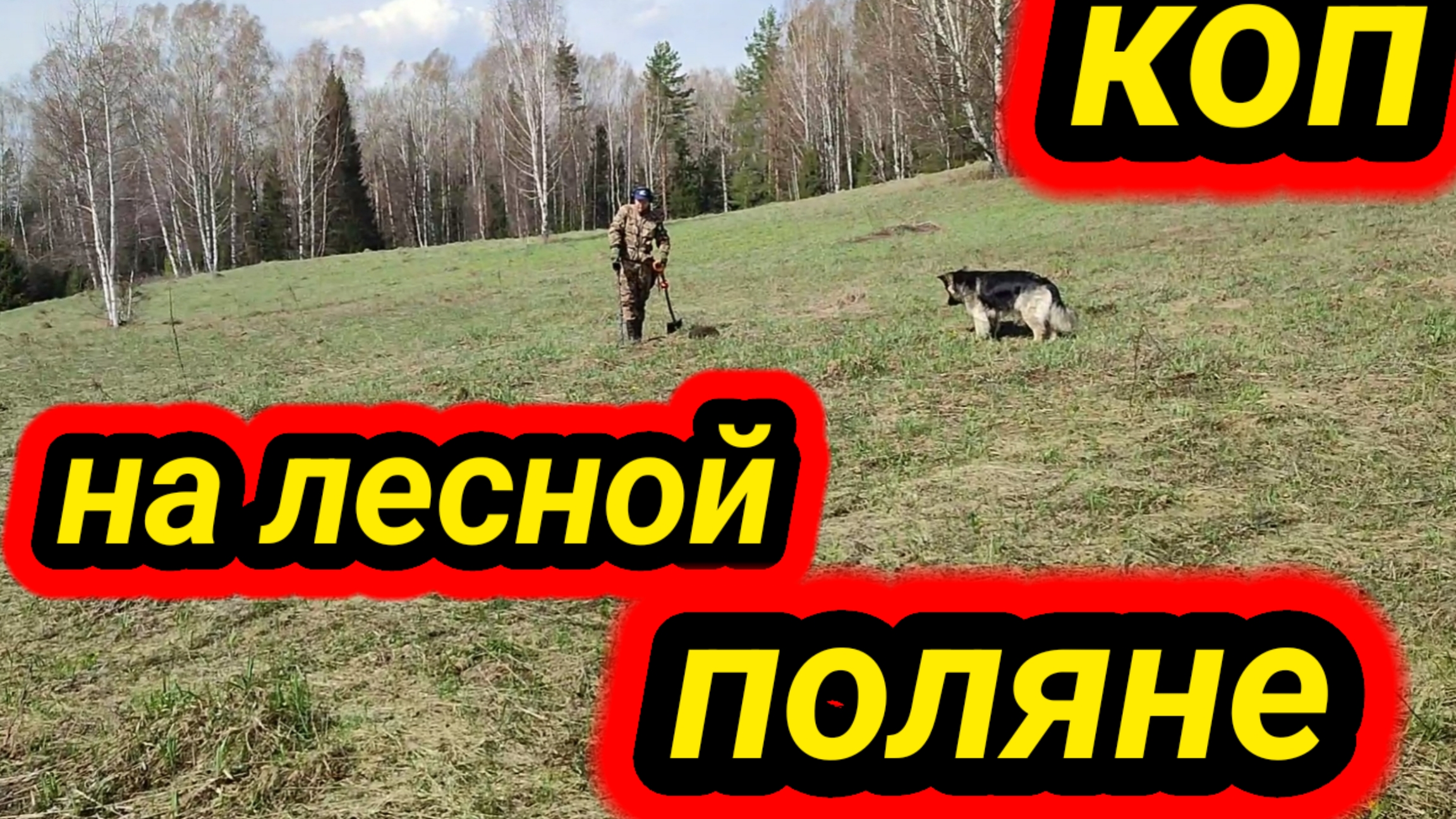 весна 2025 , коп на лесной поляне смотреть онлайн
