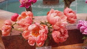 Выставка «Пионы России» 2025 в Москве в ГУМе экспозиция 2