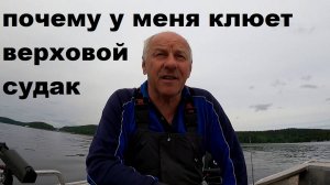 Почему у меня клюет верховой судак