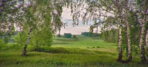 Природа России / Футаж