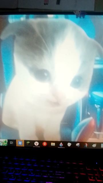 нравится вам рабочий стол? смотреть онлайн