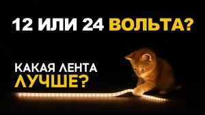 Светодиодная лента 12 или 24 Вольта - какая лучше?