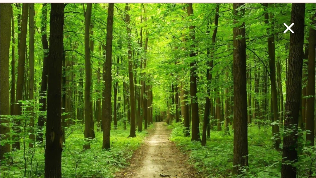 моя новая игра шпз смотреть онлайн