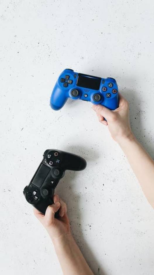 А чем вы занимаетесь летом?