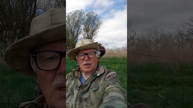 На карасевом озере