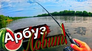 Рыбалка НА АРБУЗ! Браконеры достали Рыбалка на Спиннинг Ока 2025