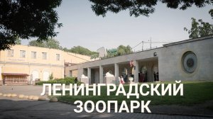 «Петербургский текст». Ленинградский зоопарк