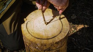 Сделал ОТЛИЧНЫЕ вещи в лесу!