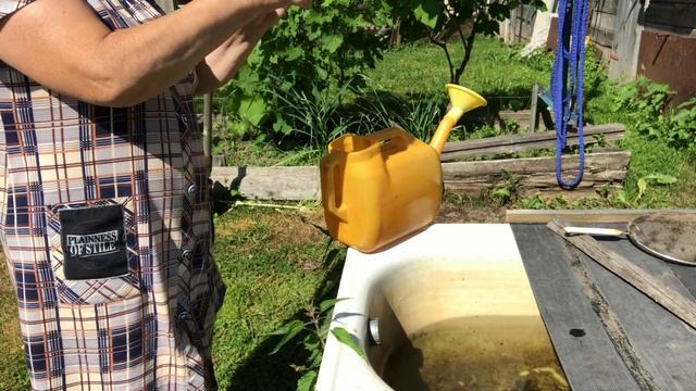 Обработка растений нужно защитить растения и кустарники от болезней и фитофторы. смотреть онлайн