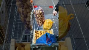 Закупка на Фудсити с обзором цен