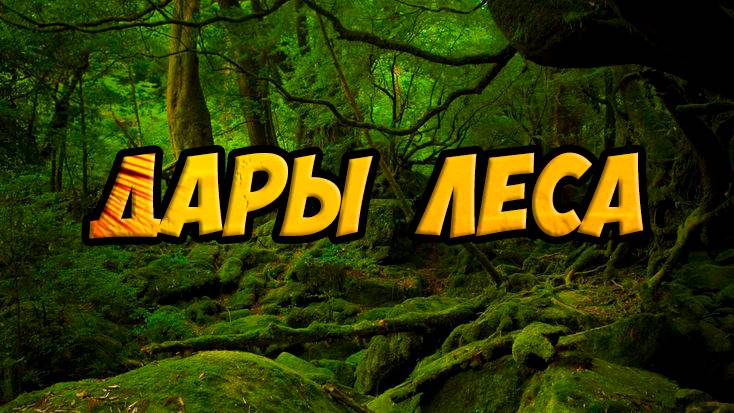Дары леса - полезности из чащи, доступные всем!