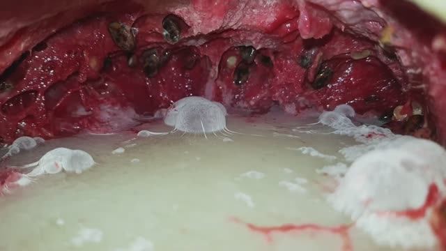 Процесс полного разложения АРБУЗА смотреть онлайн