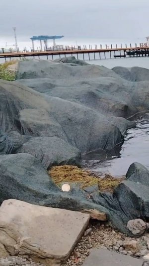 Городской пляж Анапы май 2025 года