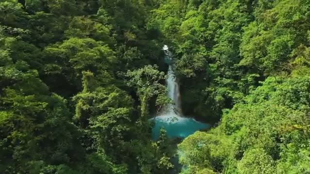 🌴 Дикая природа Амазонки смотреть онлайн